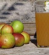 Bräuchler
